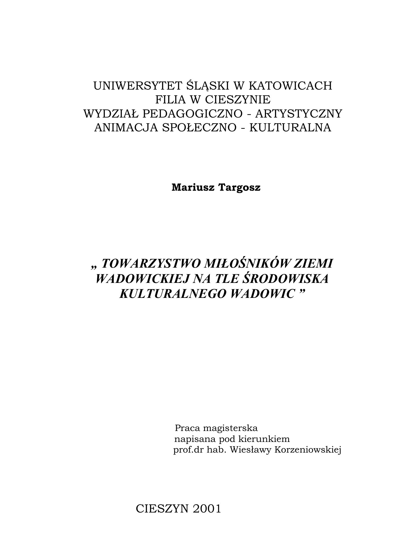 M.Targosz. TMZW praca mgr — strona 1