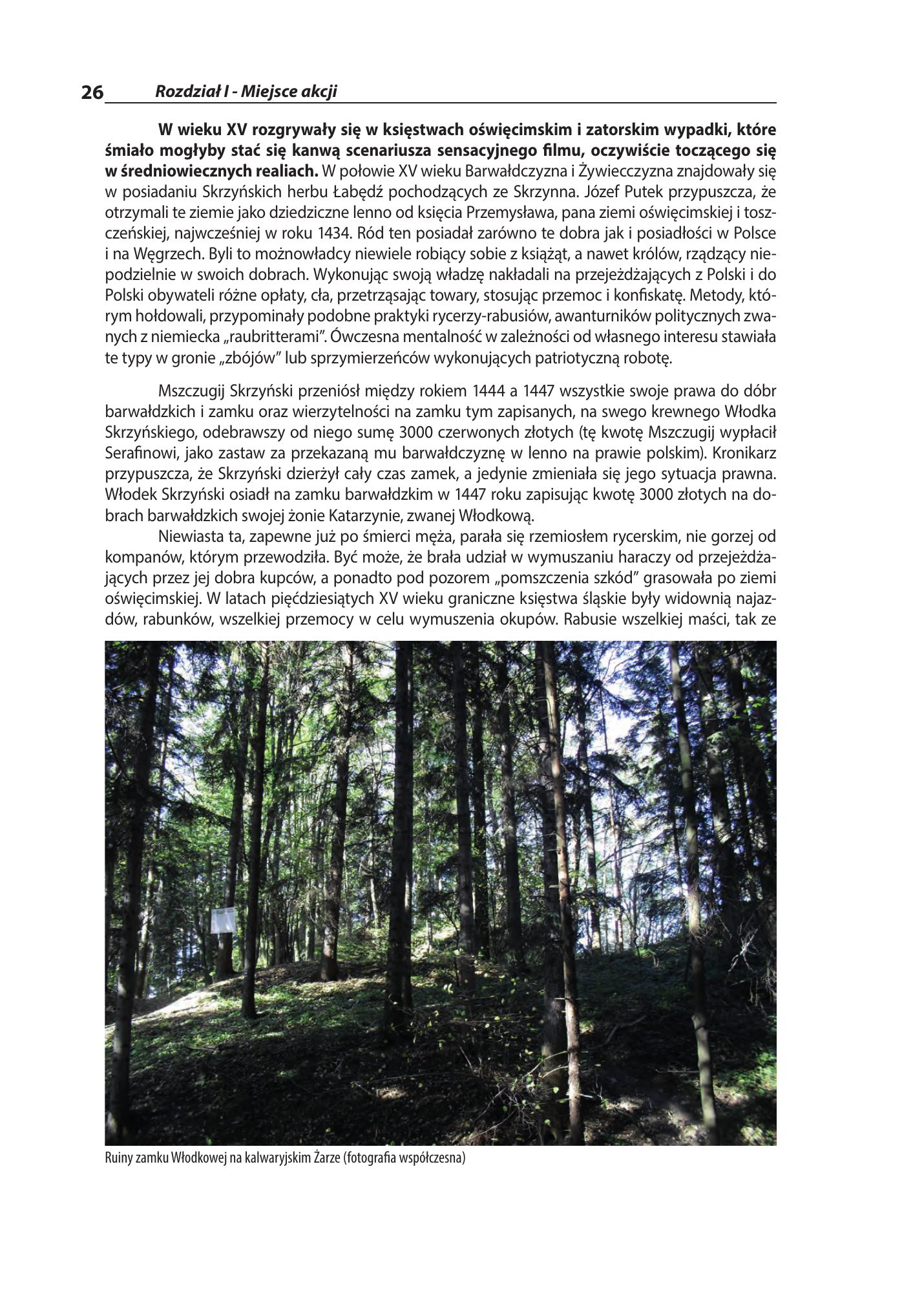 Z.Bieniasz. Lolek Zlotempisany. — strona 28