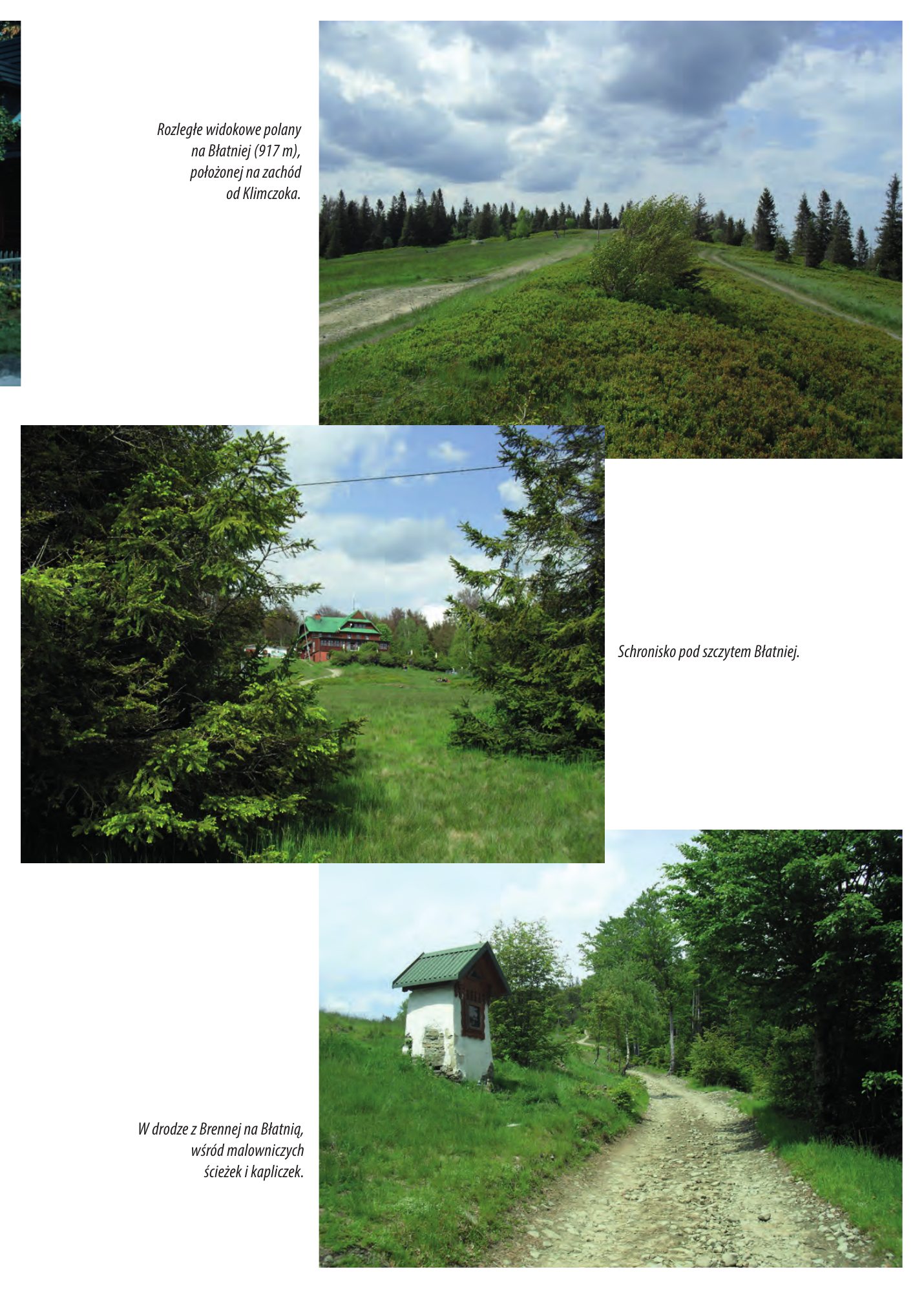 Z.Bieniasz. Lolek Zlotempisany. — strona 291