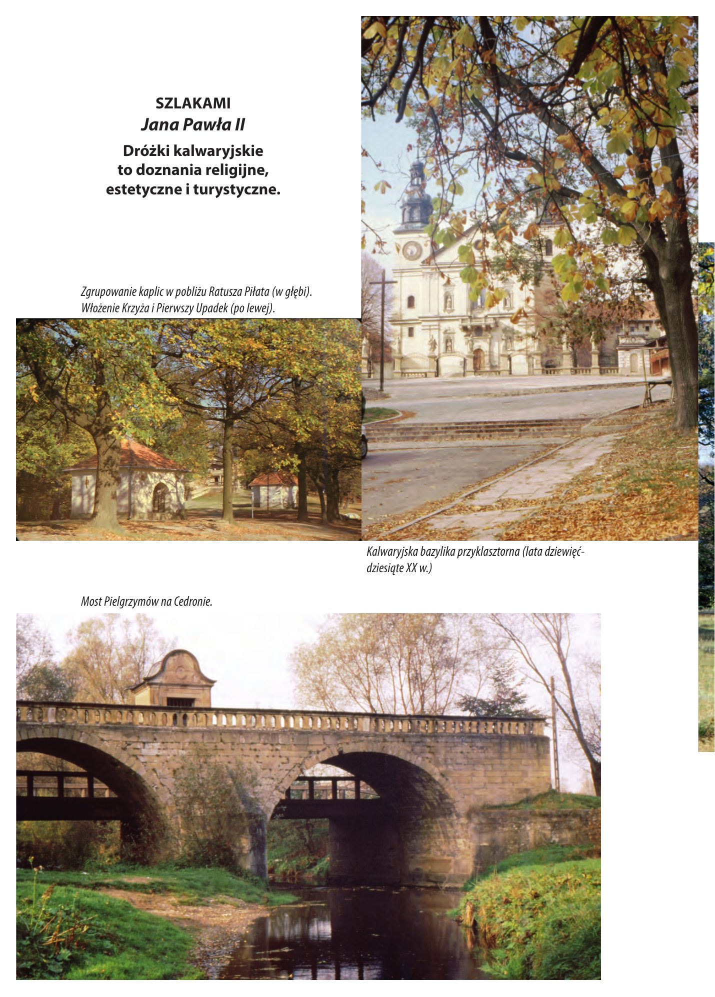Z.Bieniasz. Lolek Zlotempisany. — strona 332