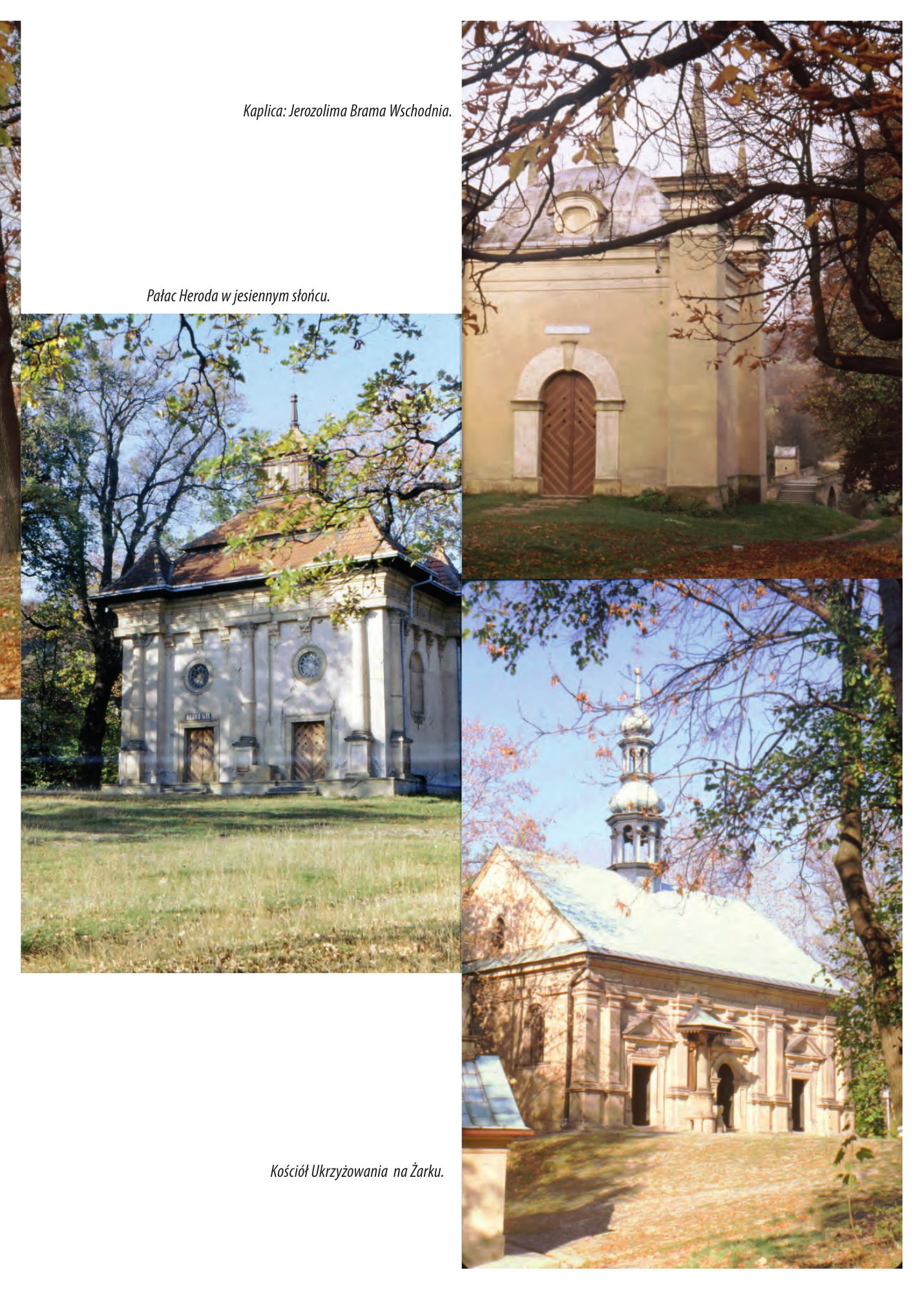 Z.Bieniasz. Lolek Zlotempisany. — strona 333