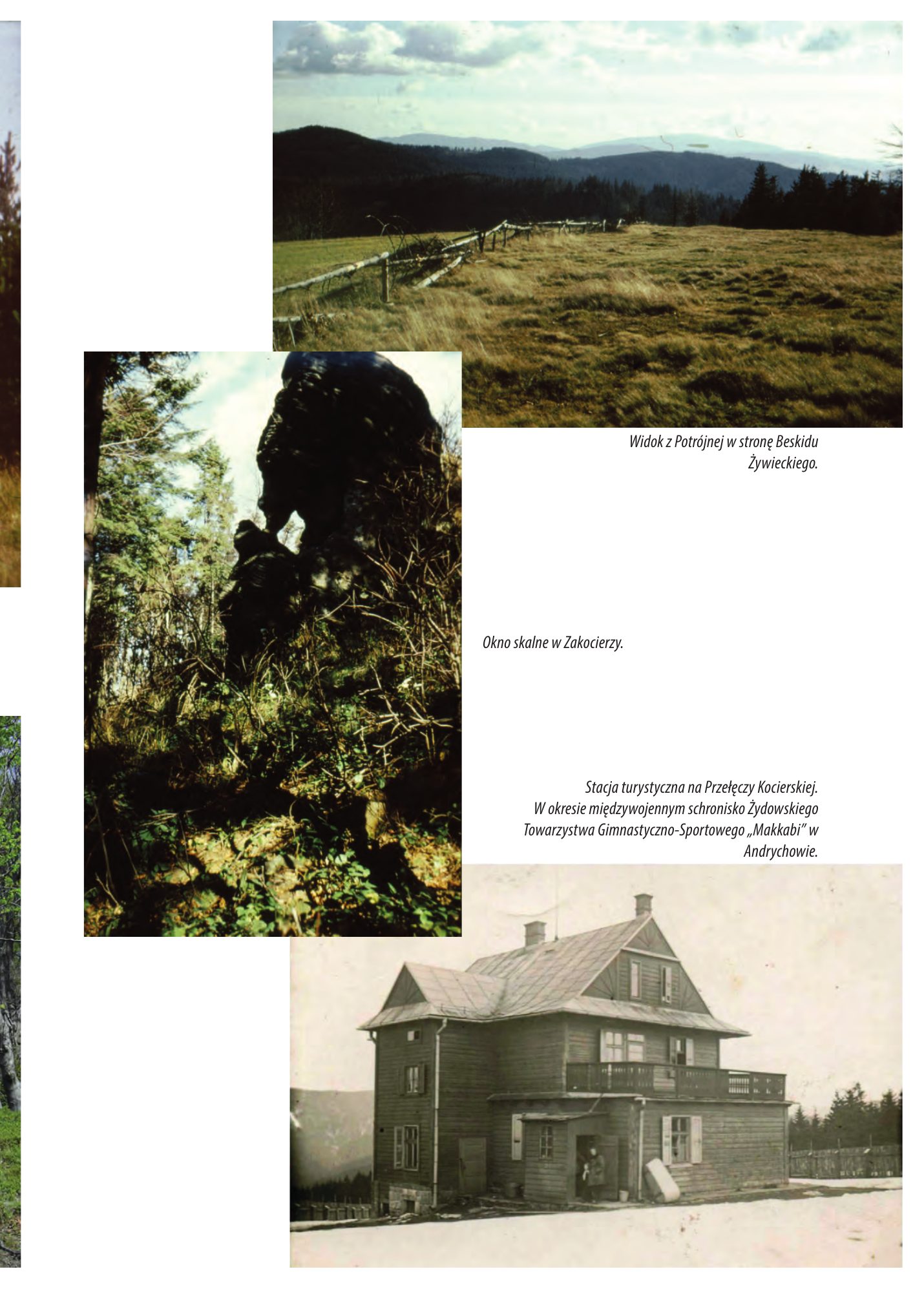 Z.Bieniasz. Lolek Zlotempisany. — strona 351