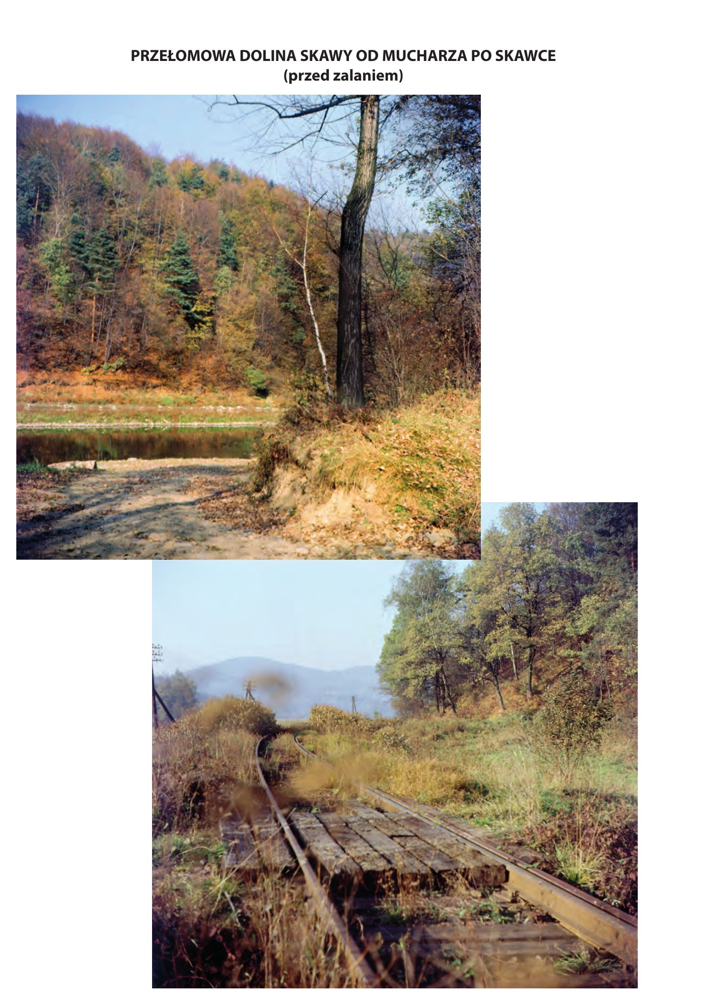Z.Bieniasz. Lolek Zlotempisany. — strona 354