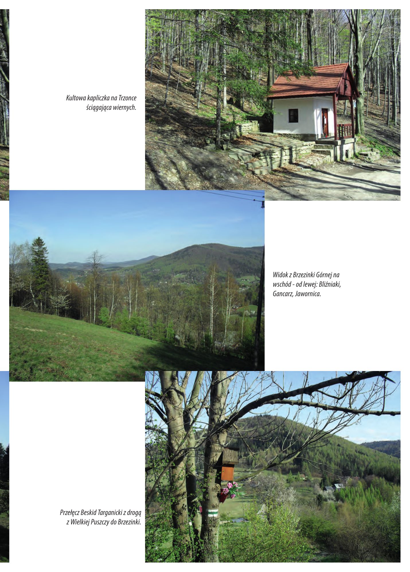 Z.Bieniasz. Lolek Zlotempisany. — strona 359