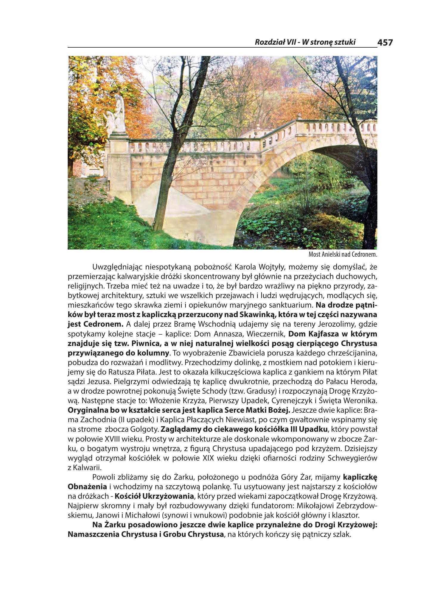 Z.Bieniasz. Lolek Zlotempisany. — strona 459