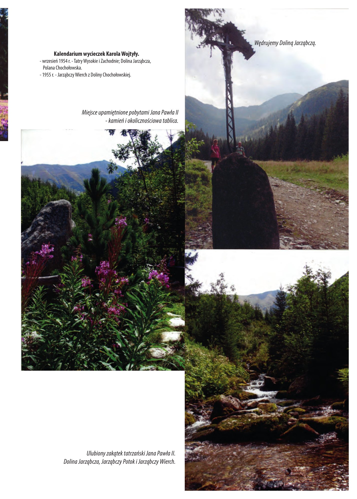Z.Bieniasz. Lolek Zlotempisany. — strona 515