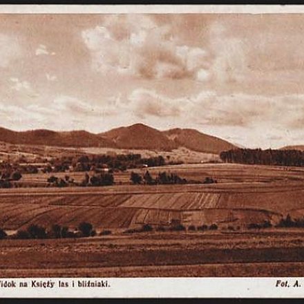 Księży las0