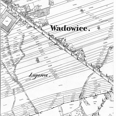 Lwowska0