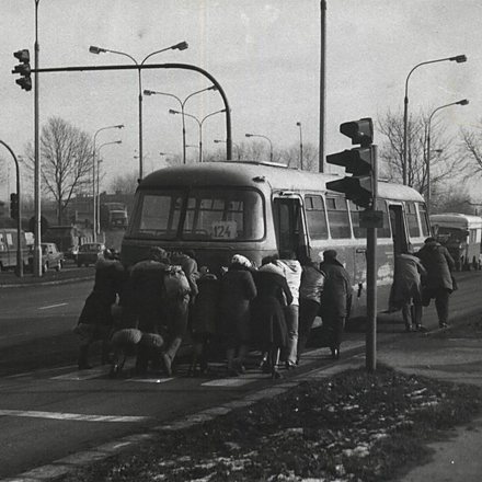 M.Studnicki020