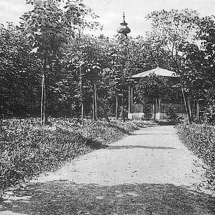 Planty 19060