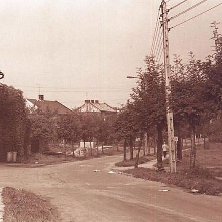 Ulica Ogrodowa (dzisiaj Wojtyłów)0