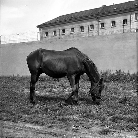 Wiezienie
