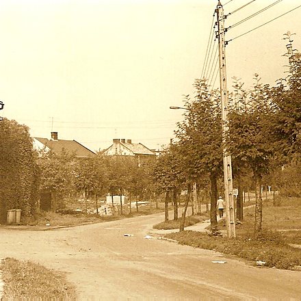 Wojtylow03