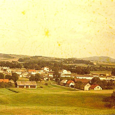 Zielona