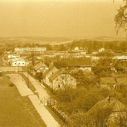 Zielona020
